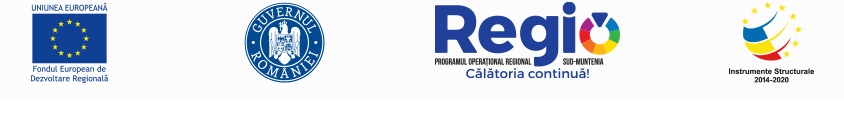 Drumuri Dambovita Logo